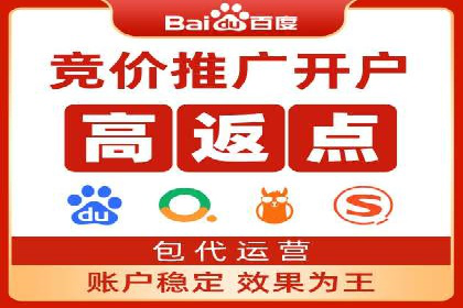 百度平台推广策略及成功案例解析